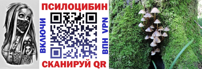 как найти наркотики  Любим  Псилоцибиновые грибы Psilocybe 