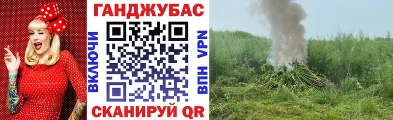 где можно купить   Любим  Бошки Шишки Amnesia 